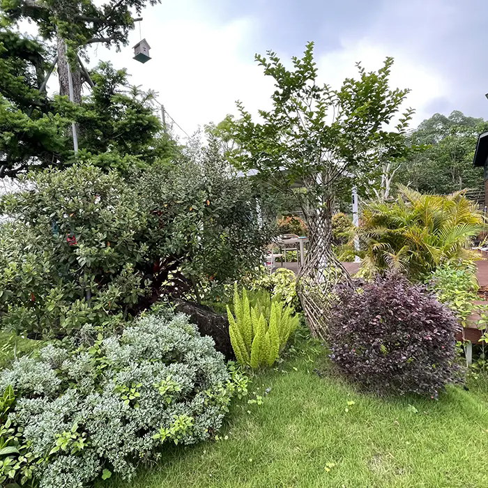 Crape Myrtle heyrətamiz və az baxım tələb edən mənzərəni necə yaradır? Crape Myrtle heyrətamiz və az baxım tələb edən mənzərəni necə yaradır?