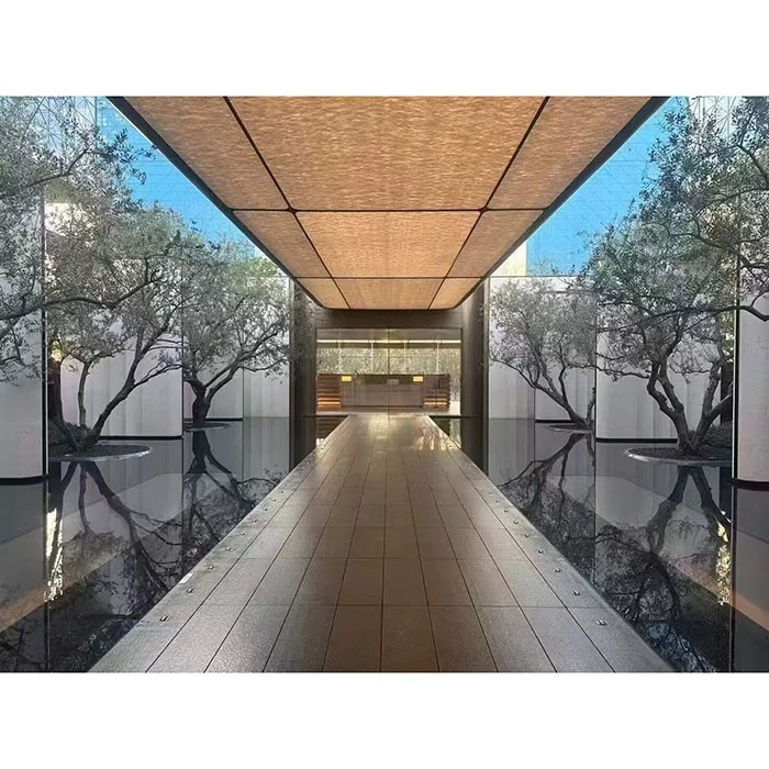Saxsı Zeytun Fidanları