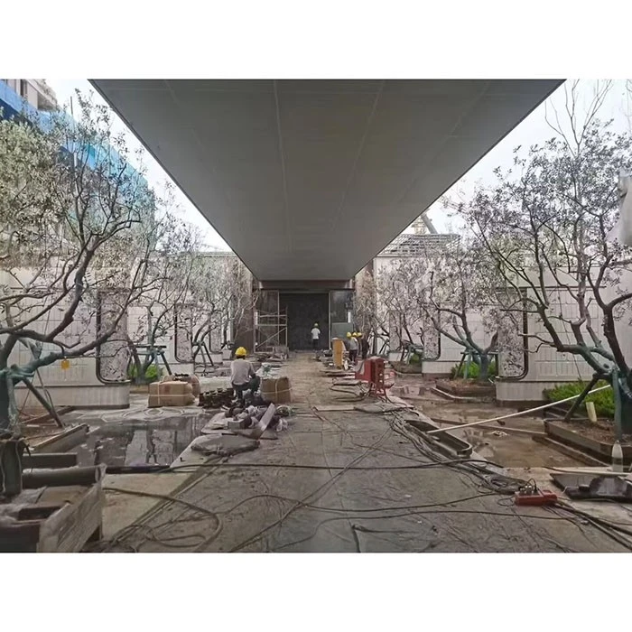Küçə Zeytun Ağacı